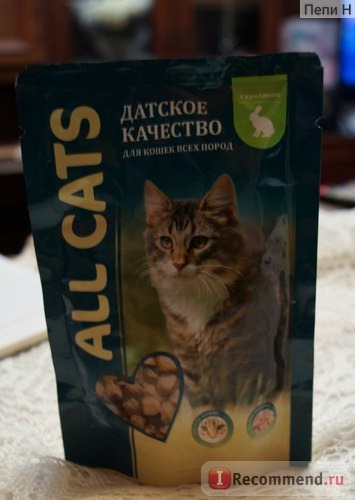 All Cats food фото