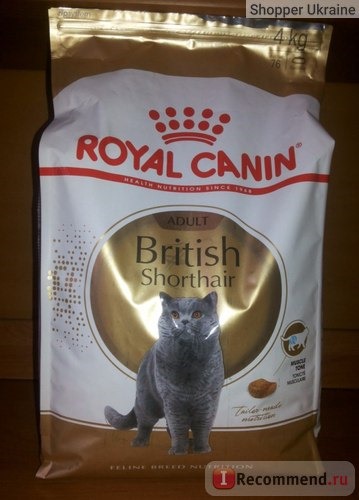 Royal Canin для Британцев фото