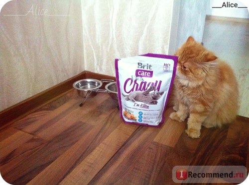 ?? Brit Care Cat Crazy с курицей и рисом для котят. ??