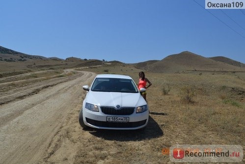 Skoda Octavia - 2015 фото