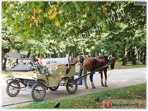 Россия, Павловский парк фото