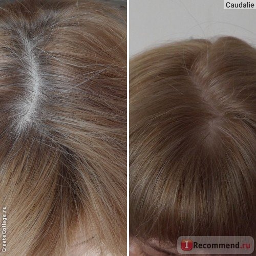 Краска для волос L'Oreal Preference les Blondissimes фото