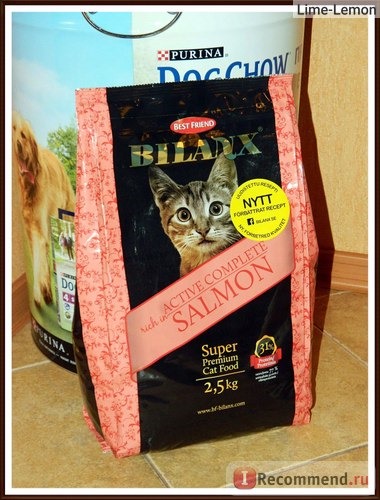 Корм для кошек Best Friend Bilanx Active Complete rich in Salmon фото