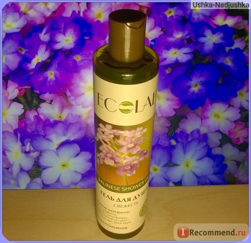 Гель для душа Ecolab Свежесть Balinese Shower Gel фото