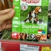 Ошейник против блох и клещей Mr. Bruno Ошейник от клещей и насекомых на эфирных маслах фото