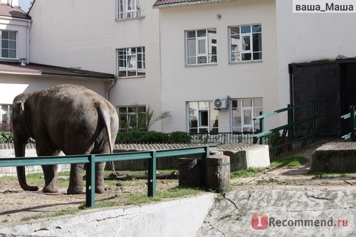 Калининградский зоопарк отзывы