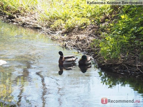 Россия, Сергиев Посад фото