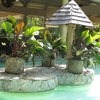 Iberostar Punta Cana - Dominicana 5*, Доминиканская республика, Пунта Кана фото