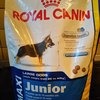 Корм для собак Royal Canin Maxi Junior фото