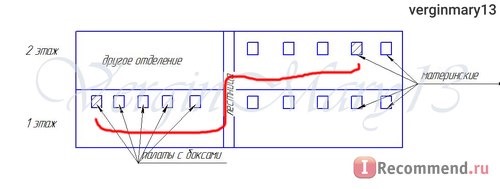 Детская областная больница, Брянск фото