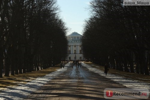 Россия, Павловский парк фото