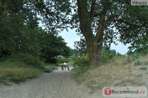 Балтийская Коса , Балтийск, Калининградская область фото