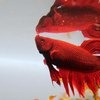 Рыбка петушок / Бойцовая рыбка / Сиамский петушок / Betta Splendens фото