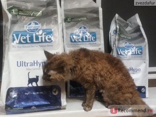 Корм для кошек Farmina Vet Life UltraHypo фото