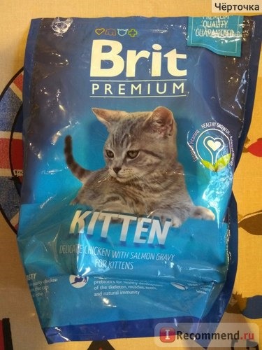 Brit Premium Cat Kitten фото