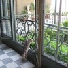 Воронцовский дворец в Алупке. Крым фото