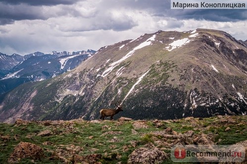 Национальный Парк Скалистые горы, Колорадо, США / Rocky Mountain National Park, Colorado, USA фото