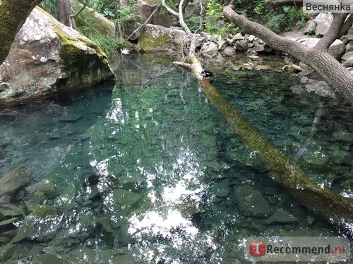 серебряный пруд в Воронцовском парке