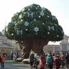 Парк Everland (Эверлэнд), Южная Корея фото