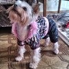 Одежда для собак Aliexpress Fashion Life Warm Dog Clothes DF-A2114 фото