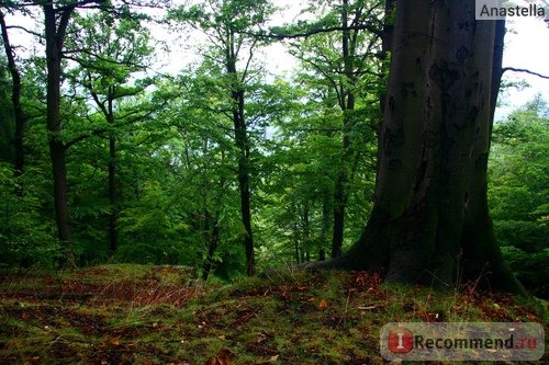 Национальный парк Чешская Швейцария. 