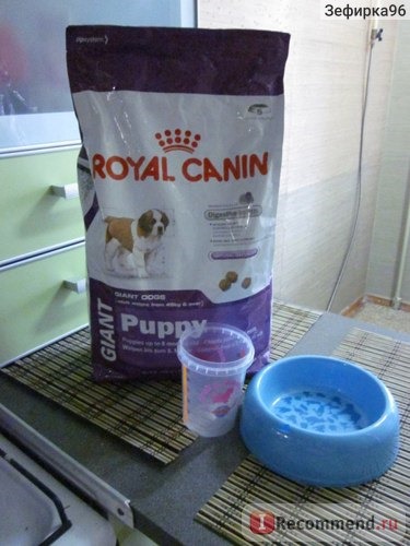 Корм для собак Royal Canin Giant Puppy для щенков гигантских пород 2-8 месяцев фото