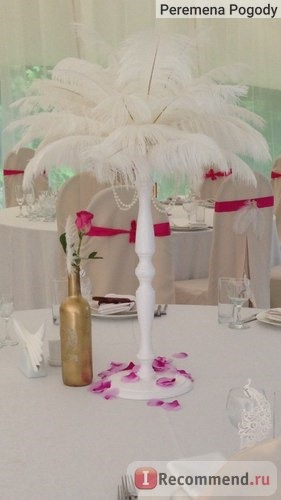 Перо страуса Aliexpress Ostrich Feather Wedding Decoration Party Plumage White фото