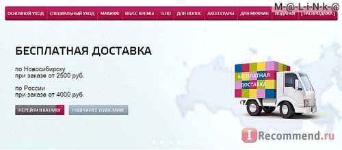 Сайт Интернет-магазин корейской косметики Hollyshop.ru фото