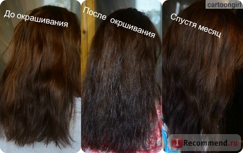 Краска для волос L'Oreal CASTING Creme Gloss фото