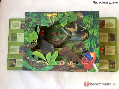 Rainforest 3D Wild ( книга для детей 