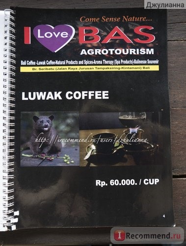 Индонезия, Бали, ферма по производству кофе Лювак (kopi Luwak) I love bas agrotourism фото