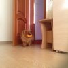 Играем