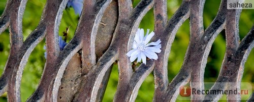 Усадьба Дубровицы / Подольск фото