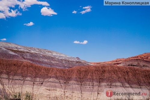 Национальный Парк Арки, штат Юта, США фото