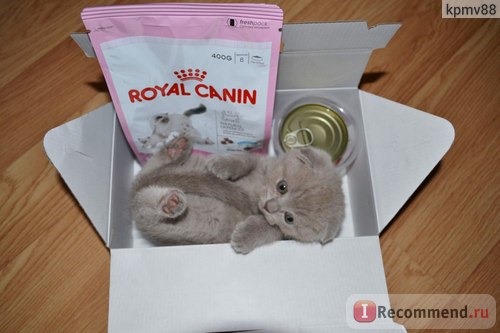 Корм для кошек Royal Canin Mother & Babycat фото