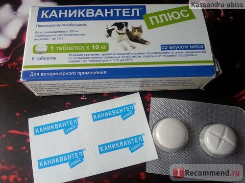 Антигельминтики Euracon Pharma Каниквантел плюс (Caniquantel plus) фото