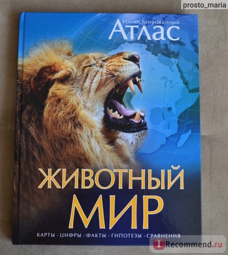 Животный мир. Иллюстрированный атлас. Бамбарадения Чана, Вудрафф Дейвид, Гинзберг Джошуа фото