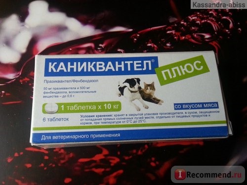 Антигельминтики Euracon Pharma Каниквантел плюс (Caniquantel plus) фото