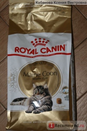 Royal Canin Сухой корм Мейн Кун 31 для кошек крупных пород фото