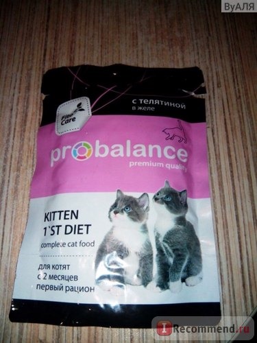 Влажный корм для котят Probalance Kitten 1st Diet с телятиной в желе фото