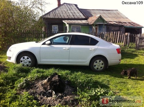 Skoda Octavia - 2015 фото