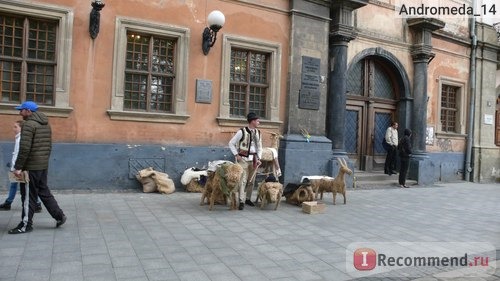 Украина, Львов фото