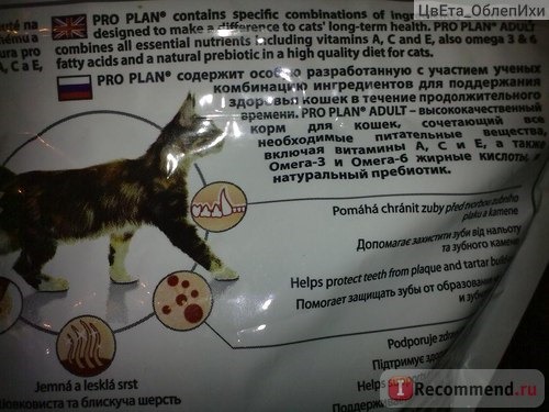 Сухой корм для кошек Pro Plan Adult Chicken (Курица) фото