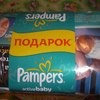 Подгузники Pampers active baby-dry (актив бэби) фото