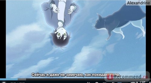 В погоне за призраком / Shinreigari: Ghost Hound фото