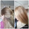 Краска для волос Schwarzkopf Perfect Mousse фото