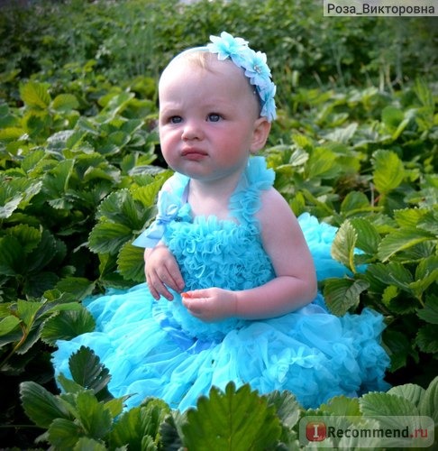 Комплект AliExpress Chiffon top + skirt set,baby pettiskirt, tutu top, Girls Tutu Skirt FREE SHIPPING фото