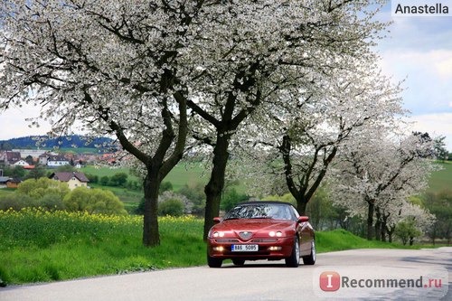 Чехия. Alfa Romeo Spider 3.0 1996