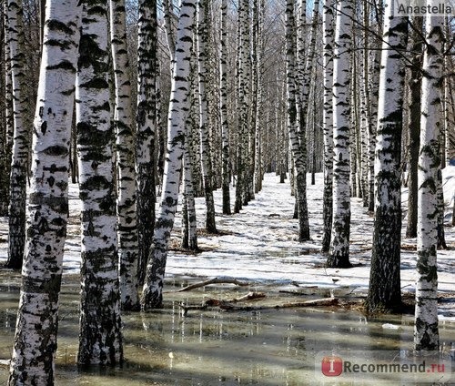 Тоже фото, но кадрированное и осветлённое