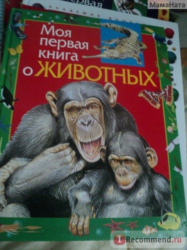 Моя первая книга о животных. Издательство Росмэн фото